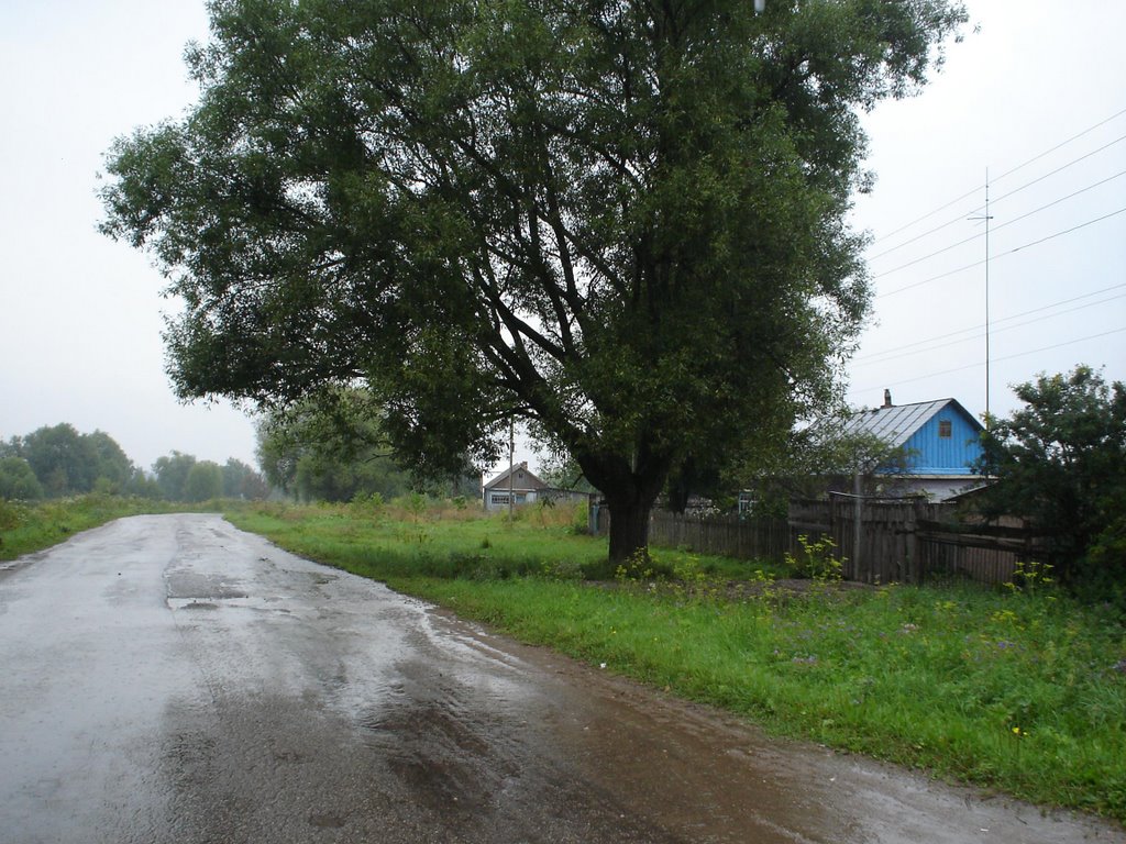 деревня Богданино