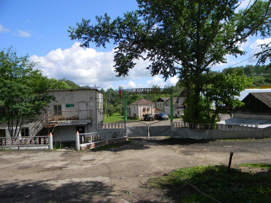 Дугнинский завод