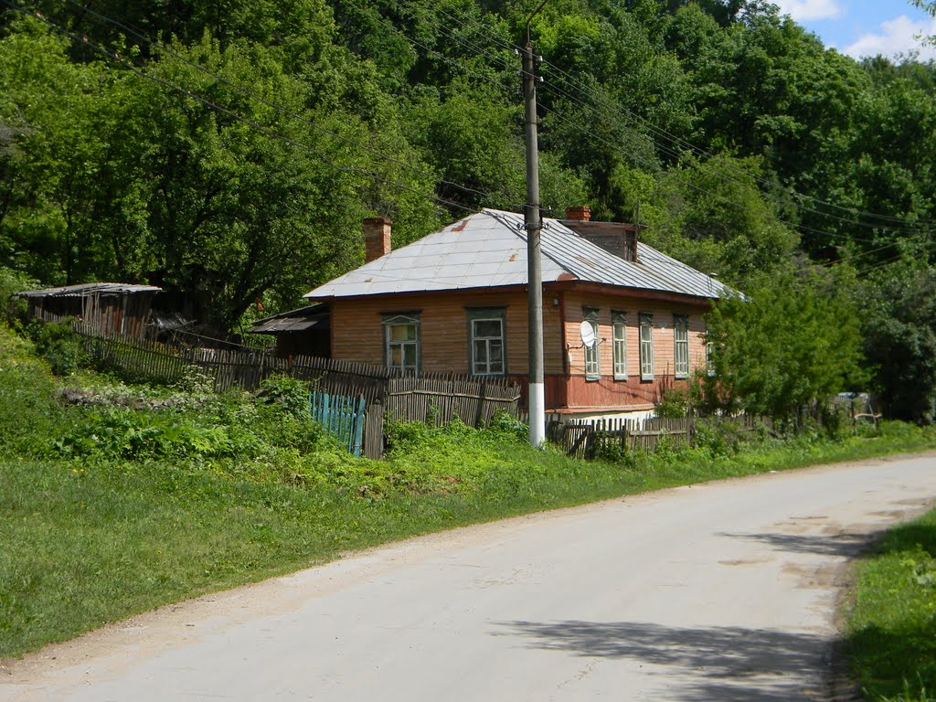 Дугна, розовый дом