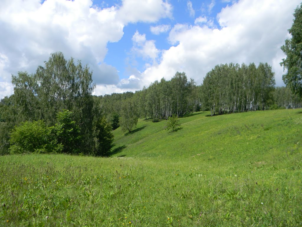 Дугна, полесок на горе