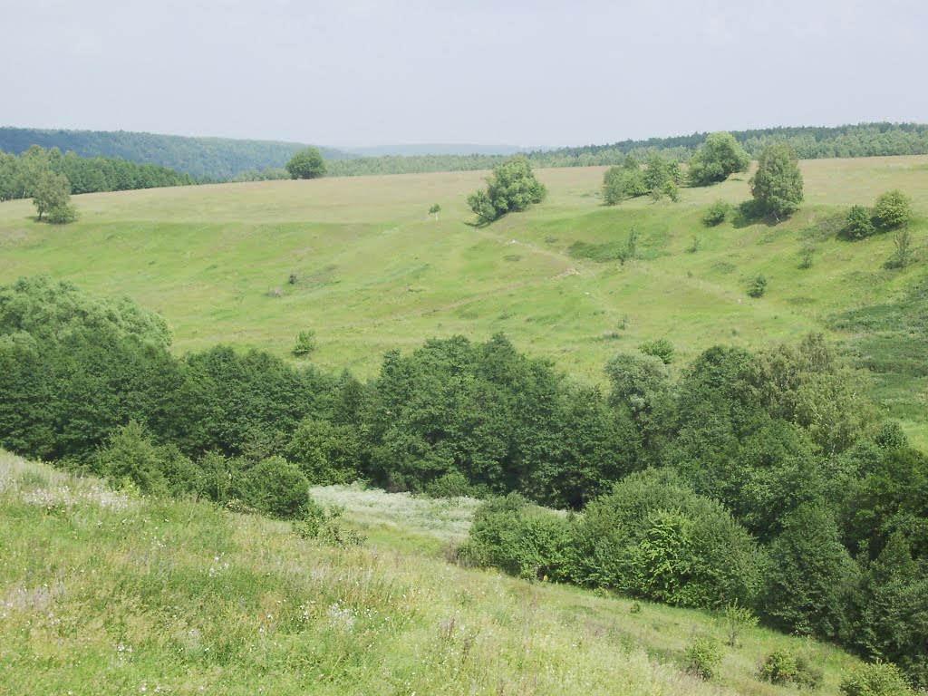 Просторы