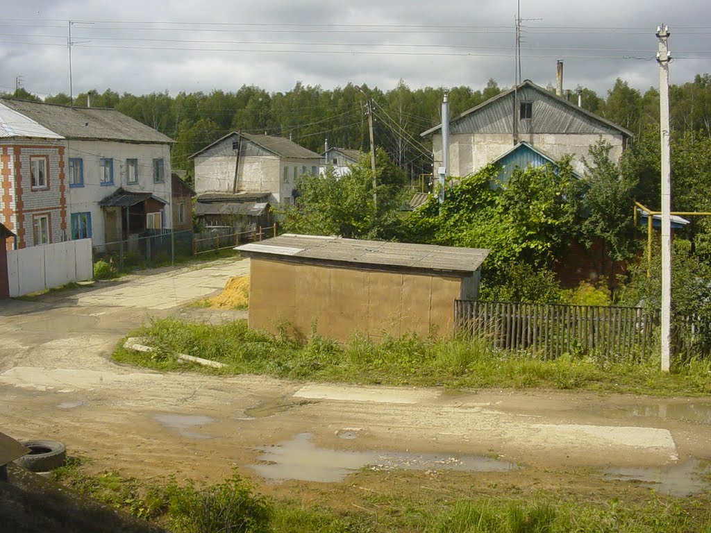 Думиничи. Рядом лес.