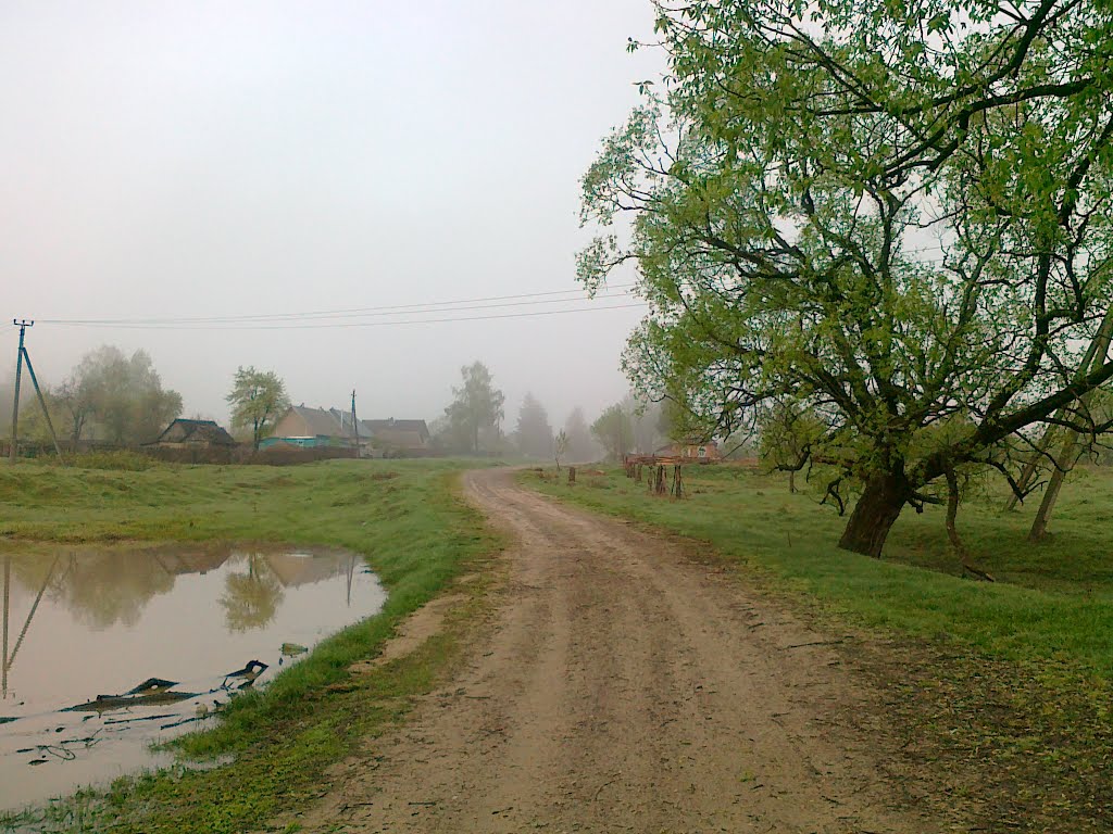 near Bryn village