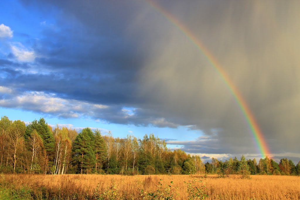 Rainbow