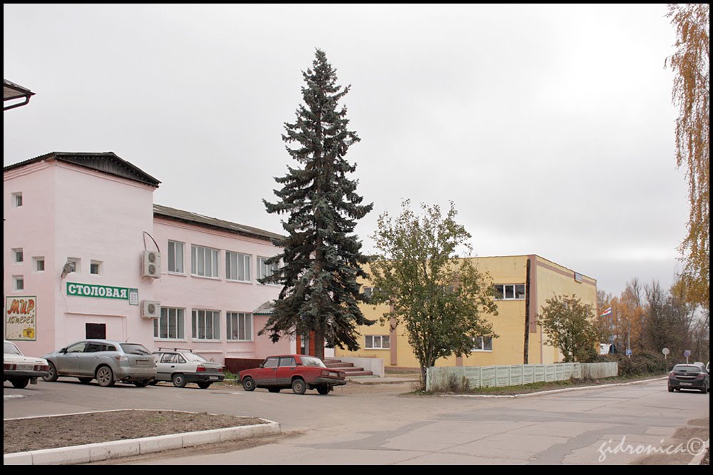 Жиздра,центальные магазины