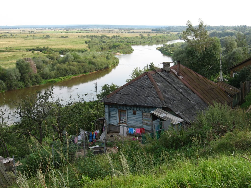 Podborki