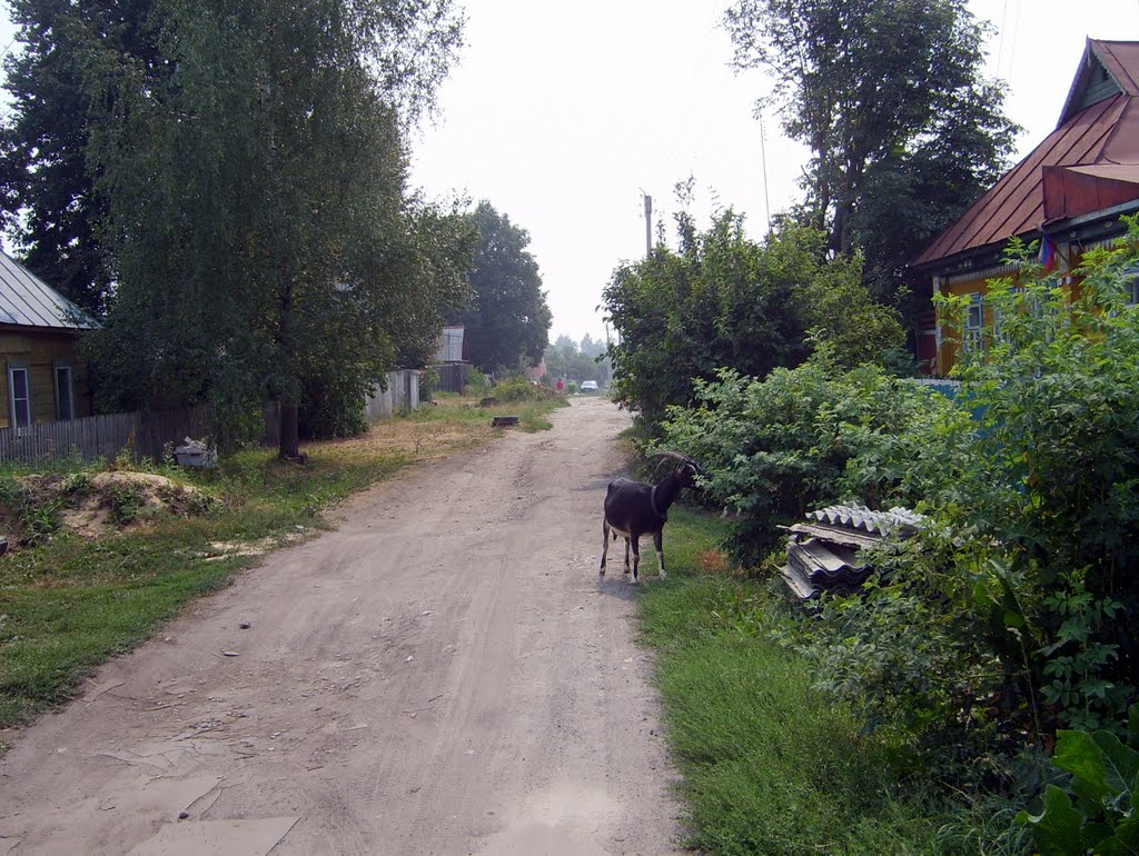 ул. Крупская  лето