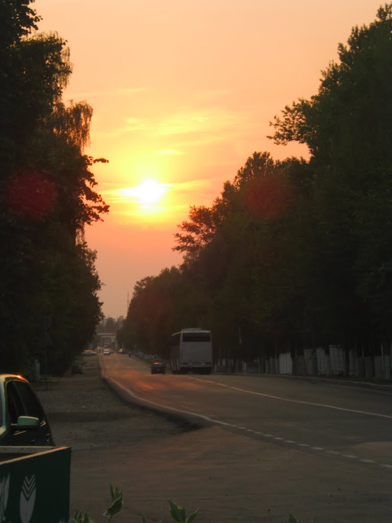 Chkalova street