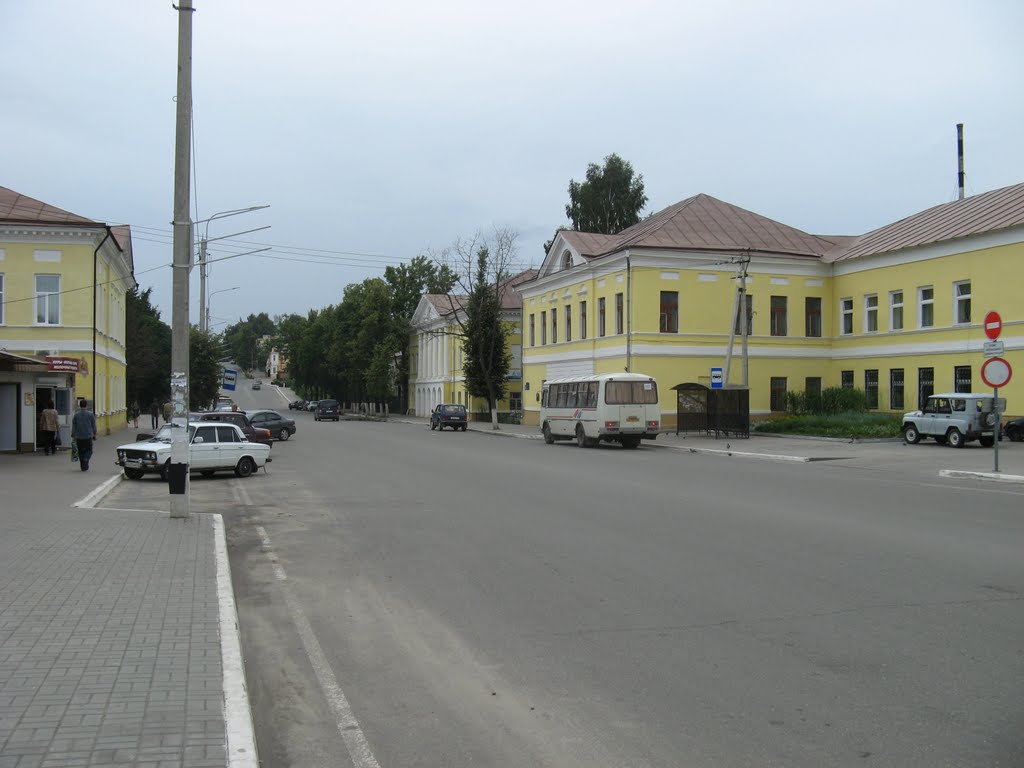 Старые дома города Козельска.