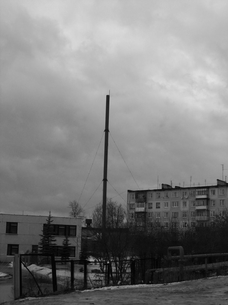 Двор