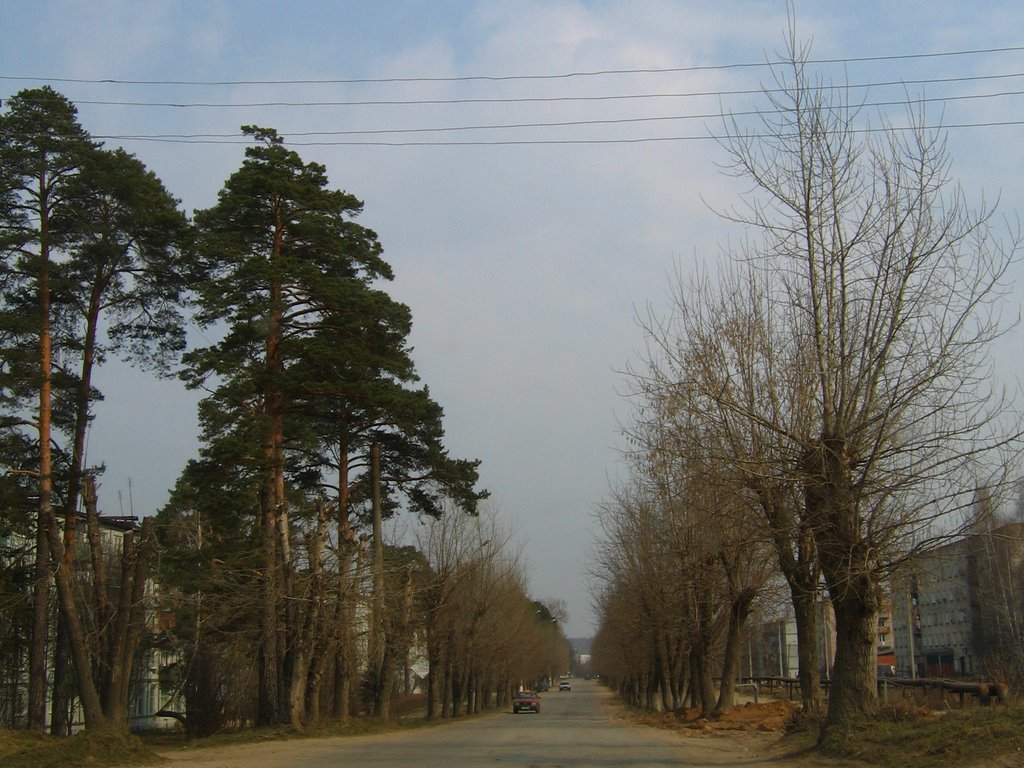 Улица Ленина