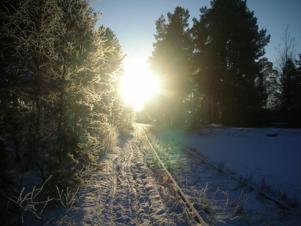 зимний закат