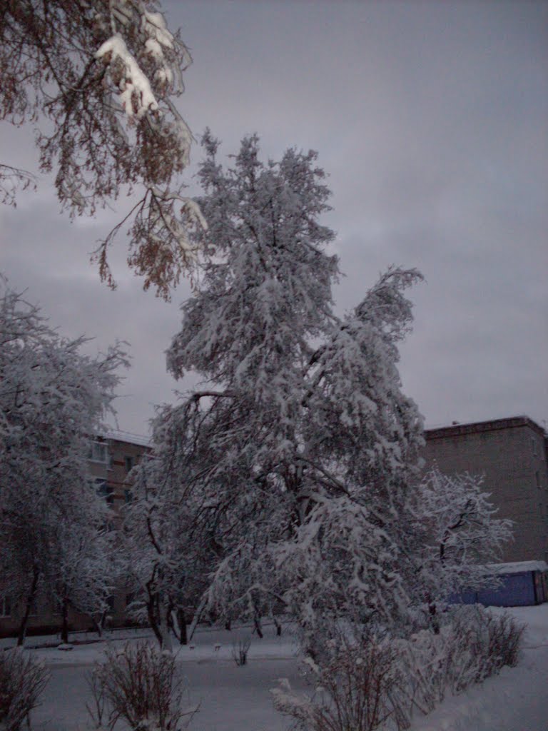 у Аптеки
