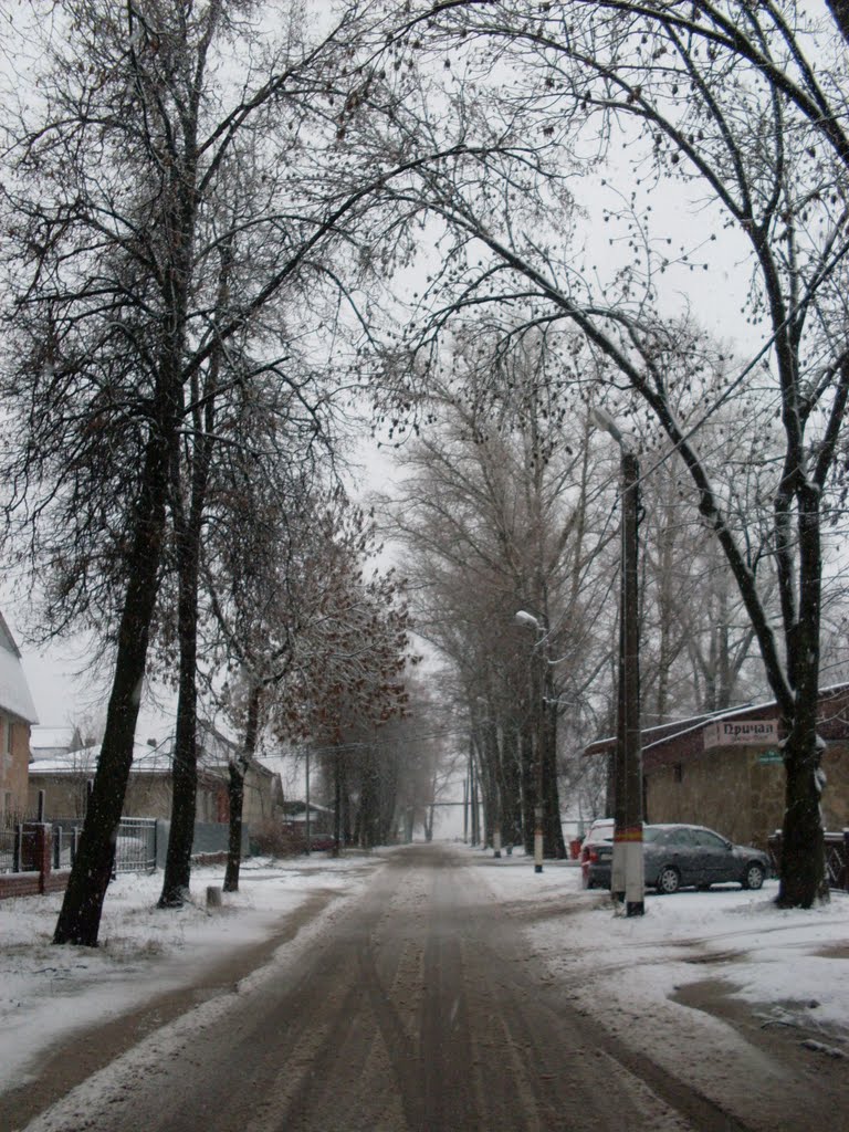 Дорога на набережную