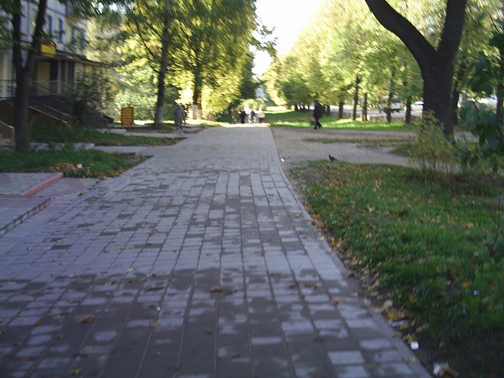 Тротуар на ул. "Маяковского"