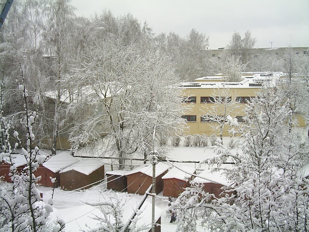 Зимний двор (вид из окна)