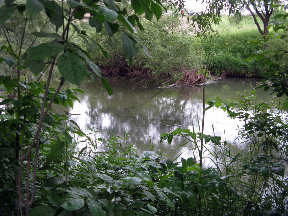 Luzha riv. - Maloyaroslavets 2008