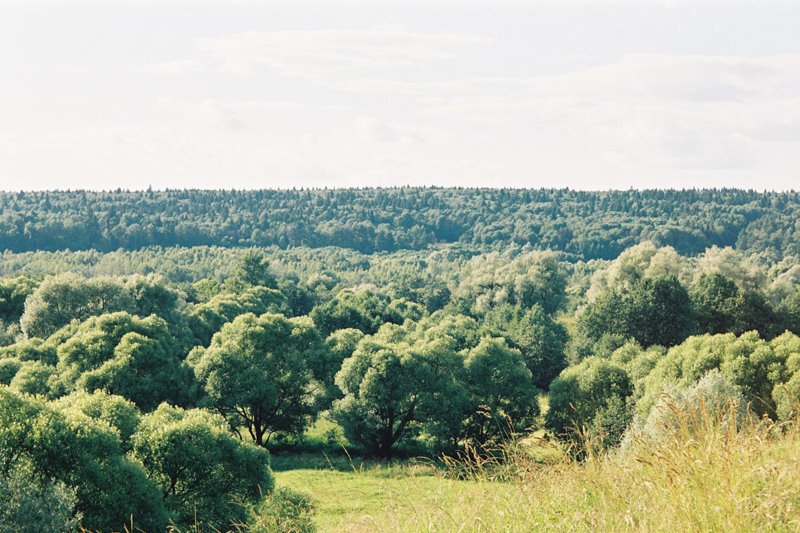 2005