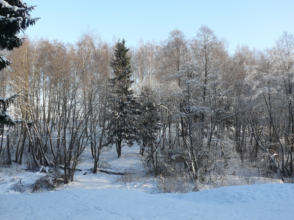 У родника