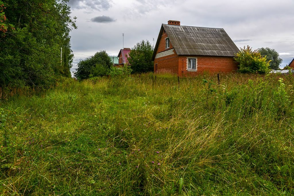 Дом в Маклино