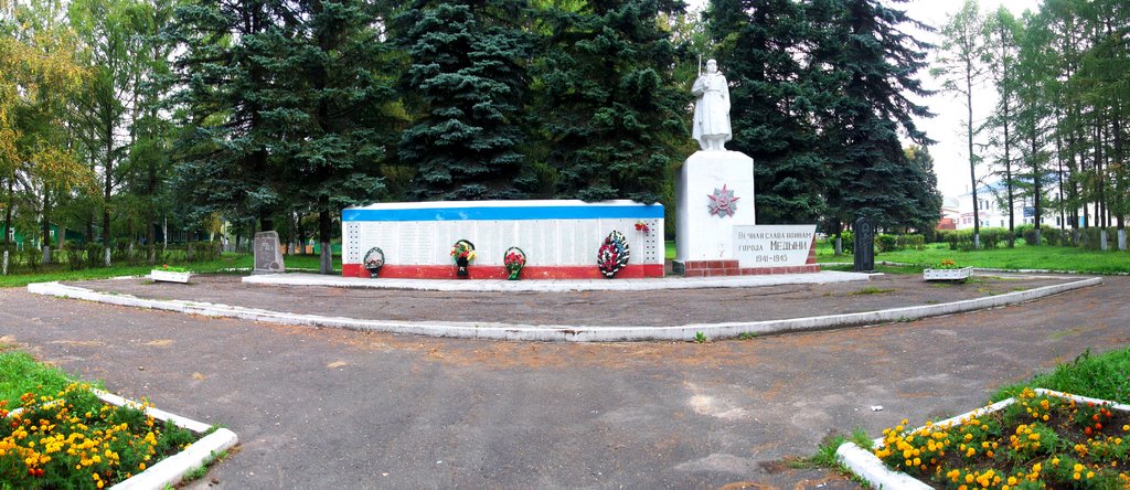Памятник ВОВ, войны в Афганистане и войны в Чечне