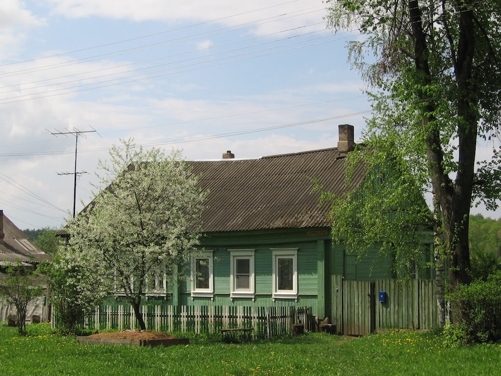House in center of Medyn