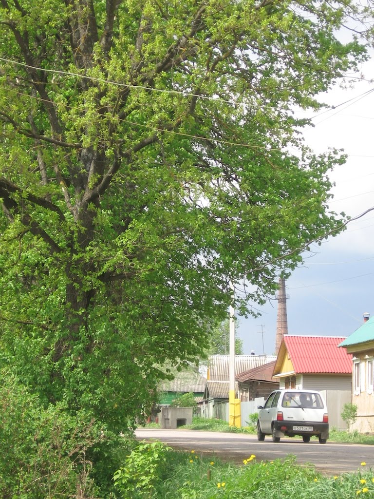 Street of Medyn