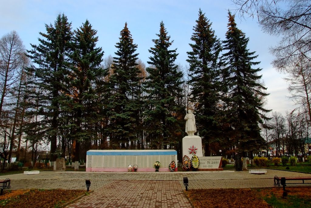 Медынь