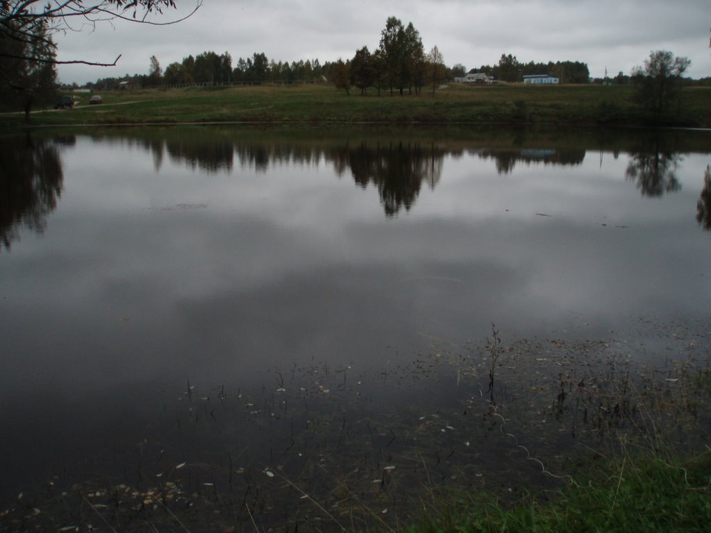 р.Медынка