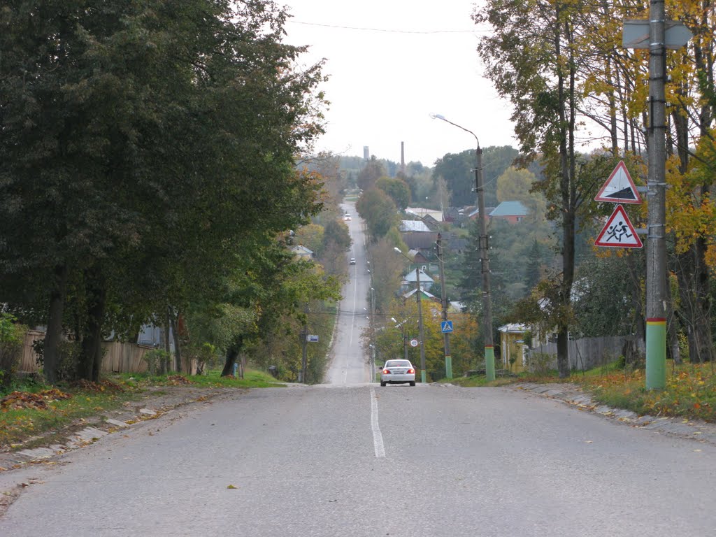 Мосальск, ул. Революции
