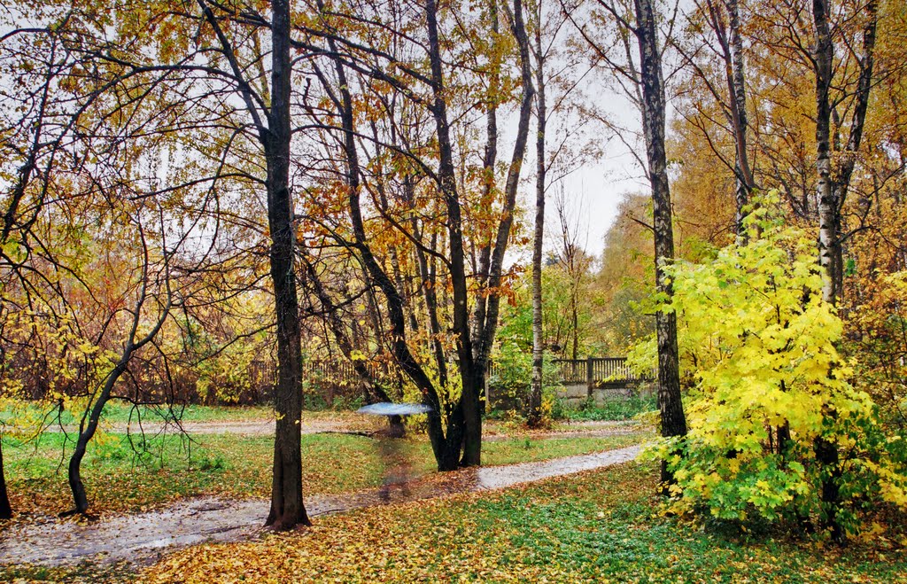 Обнинская осень