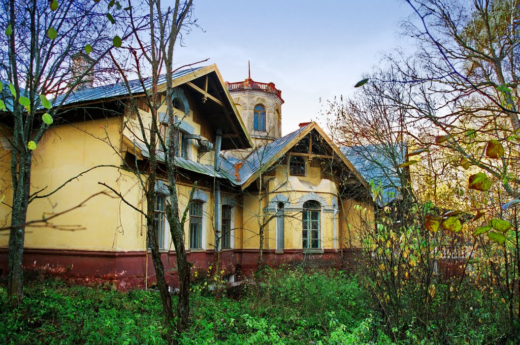 "Морозовская дача"