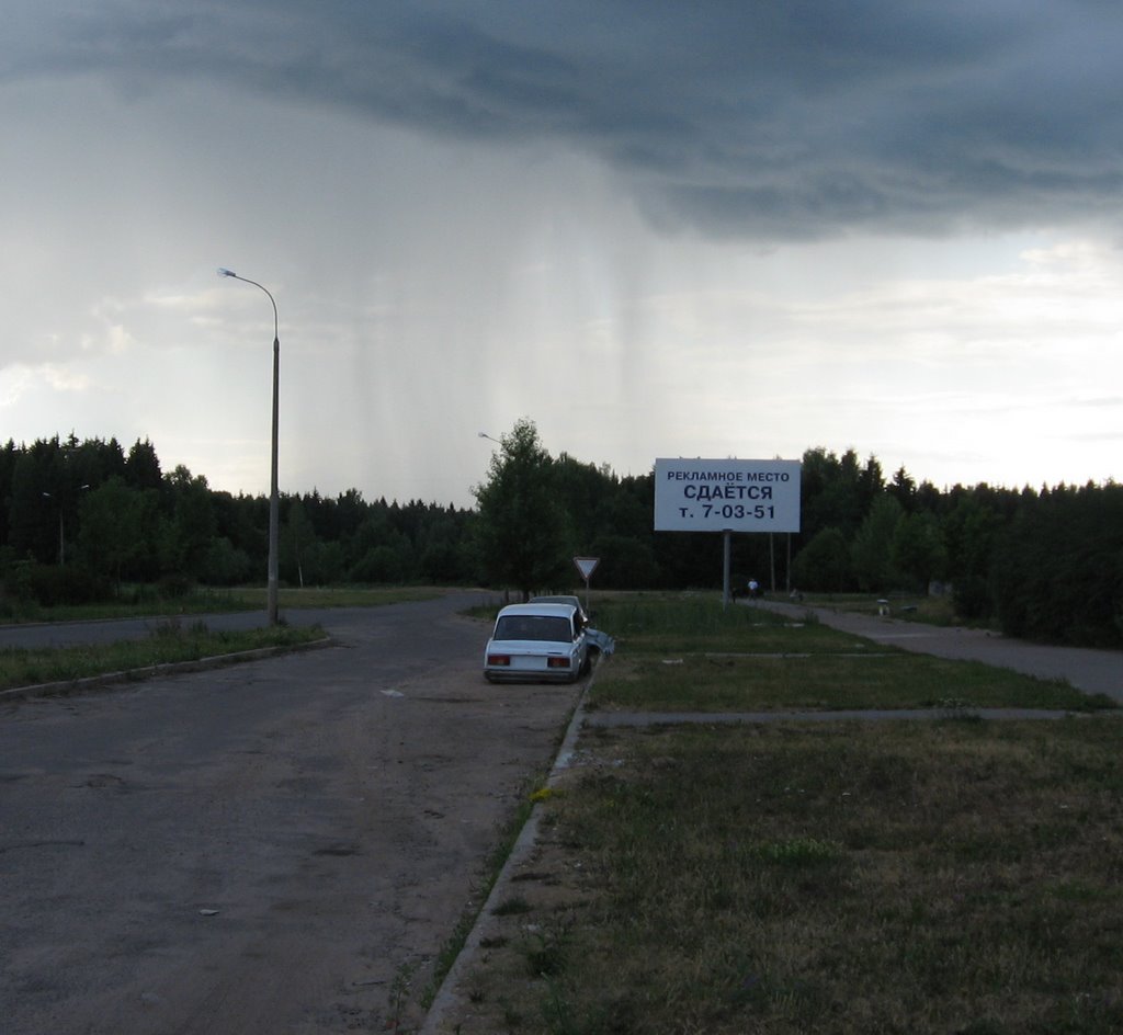 "Рекламное место сдается" (2007)