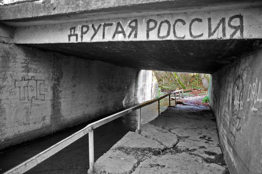 "Другая Россия"