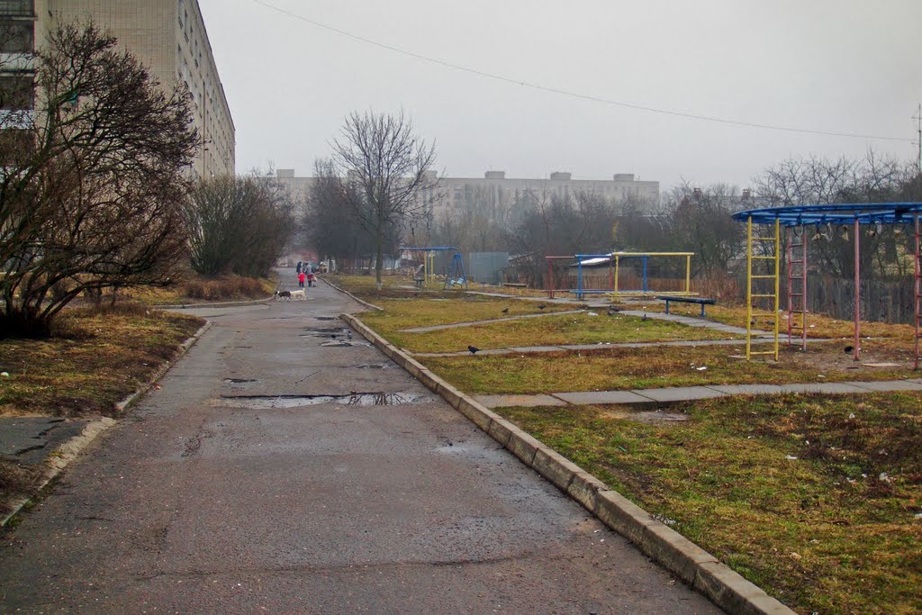 Утро. На задворках Любого 8