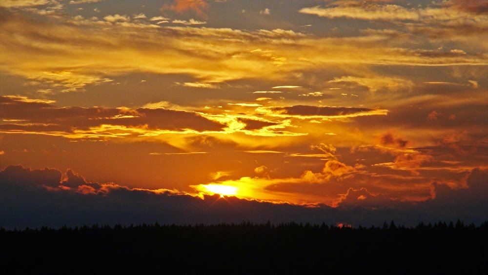 Закат 19.08.10 г