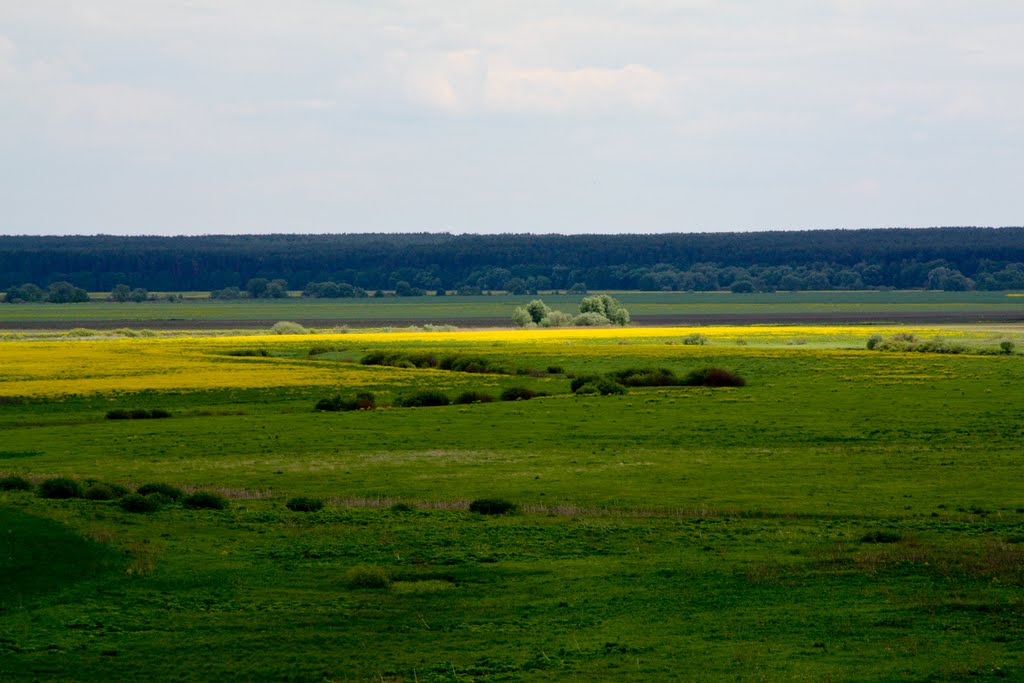 Простор