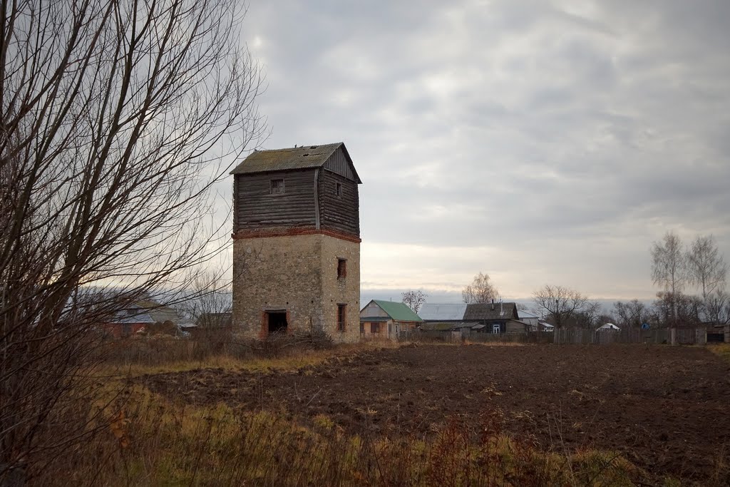 Дачная башня