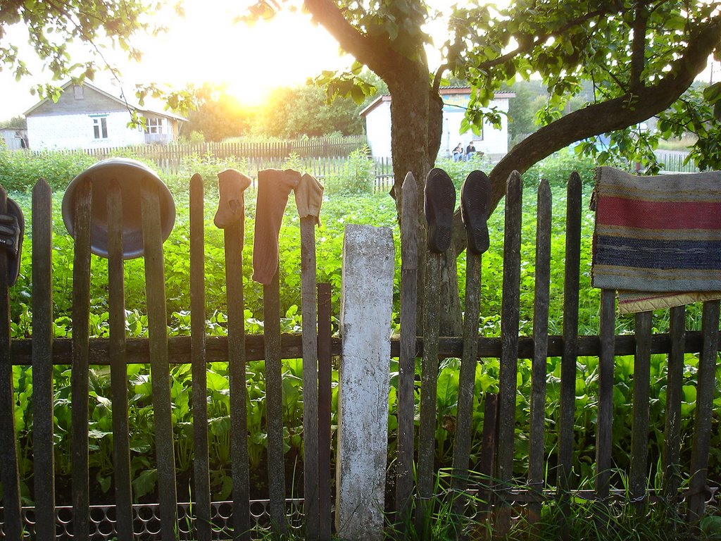 village evening