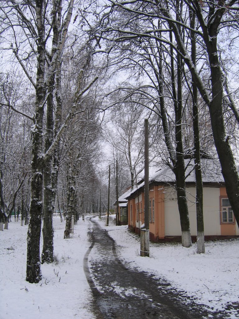 Улица 1