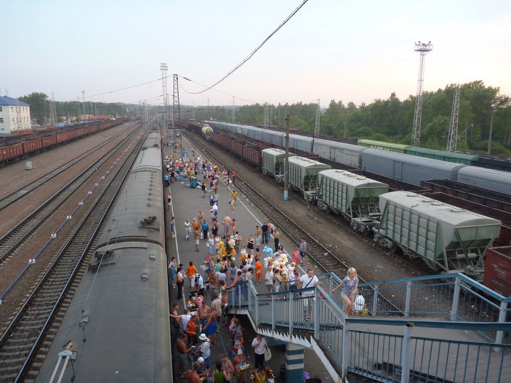 Поезд Москва-Киев на станции Сухиничи.