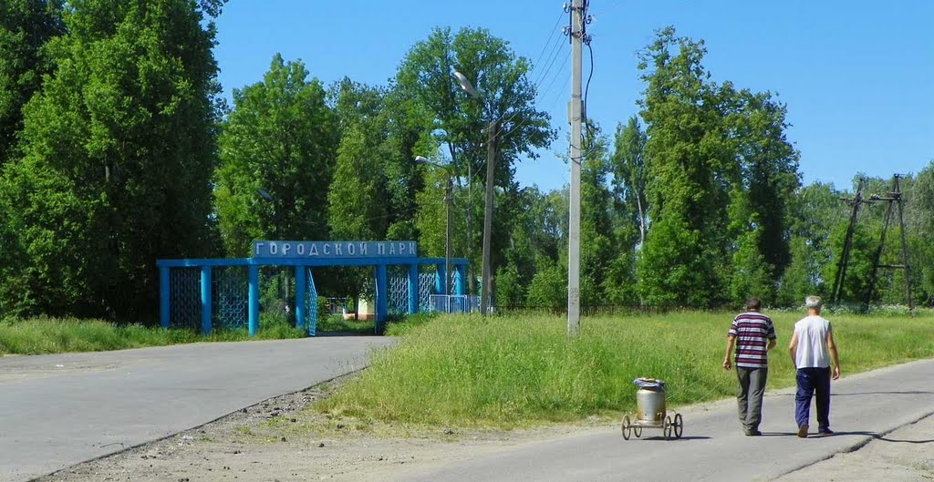 Сухиничи 2011