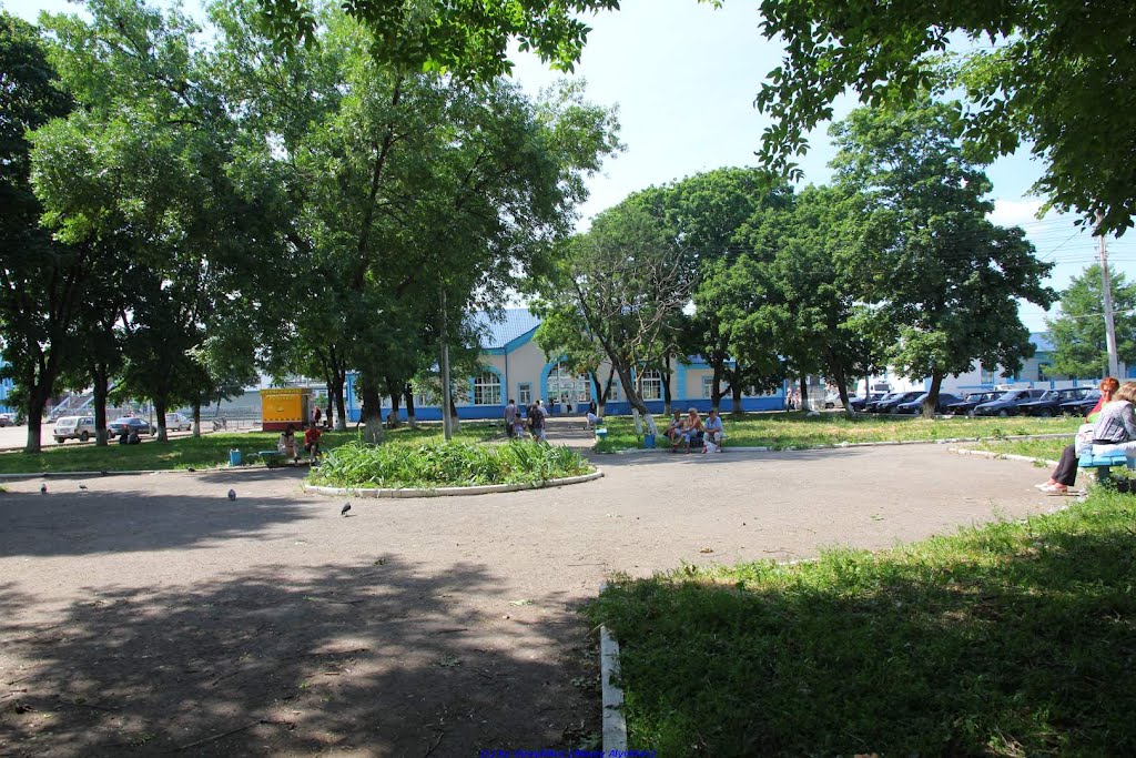 Парк у станции Сухиничи (13.06.2011)