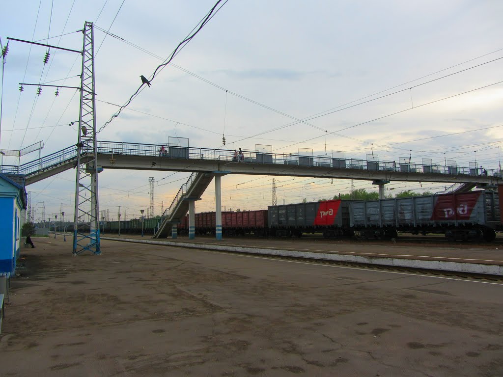Піш.міст