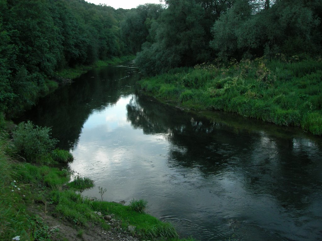 таруска вечером