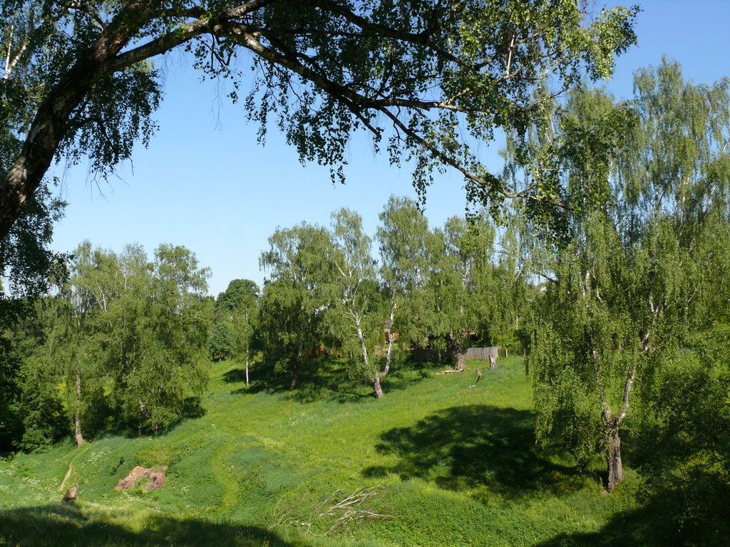 Таруса. Овраг в роще.