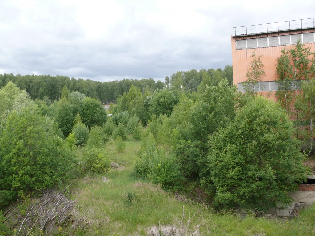 Таруса. Территория перед СКБ.