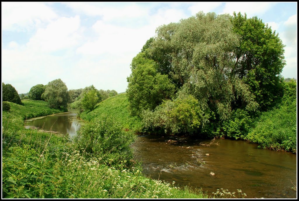 река Таруса