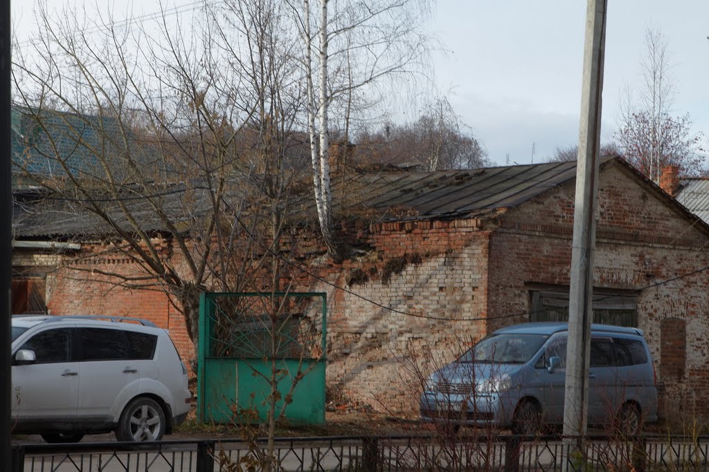 особенности жизни тарусских берез