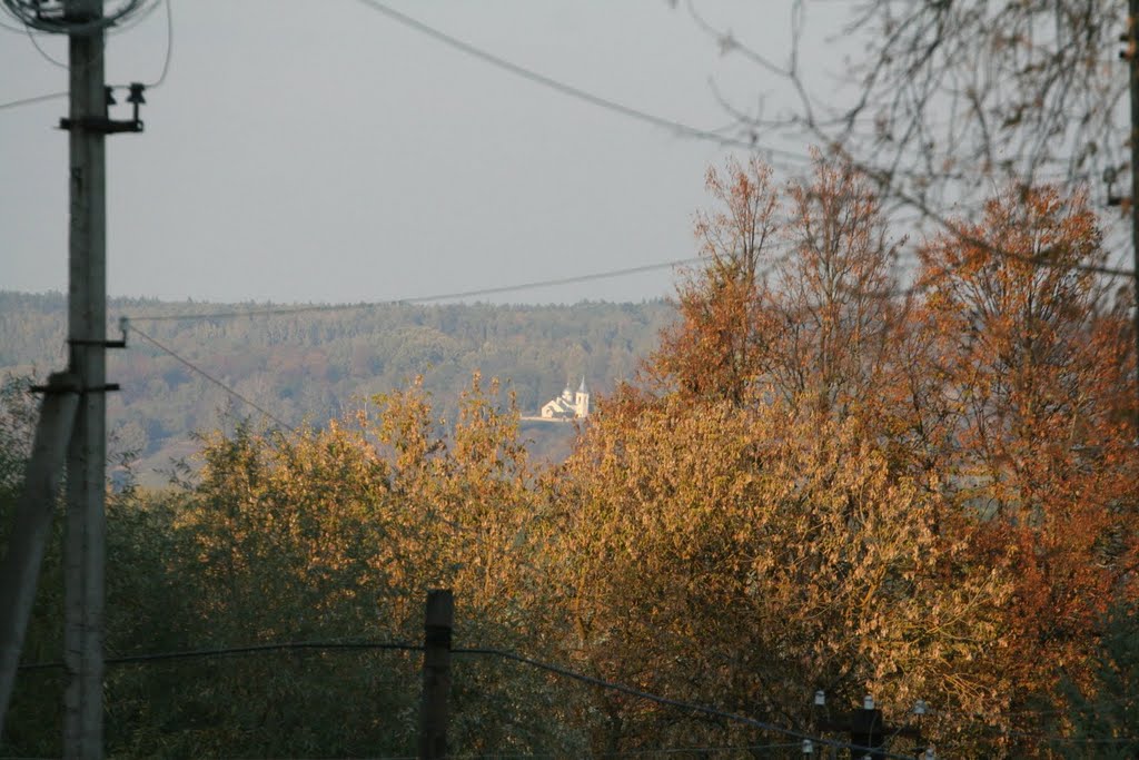 Таруса